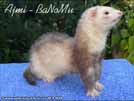 Ajmi - BaNoMu Legacy of Ferrets